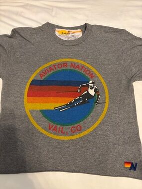 Aviator Nation Gray Ski Circle Logo Tee - Multicolor Stripe